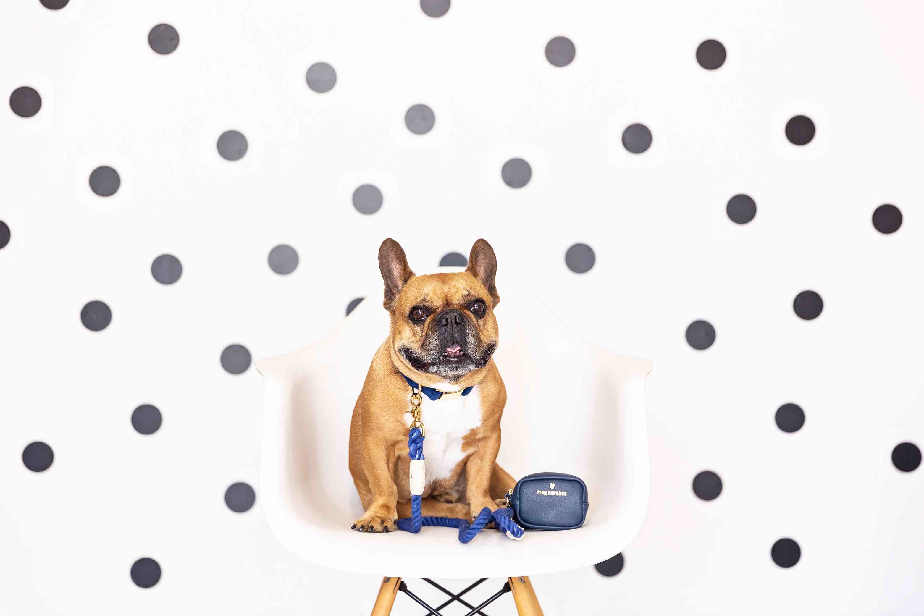 Reagan Waste Bag Holder & Treat Pouch