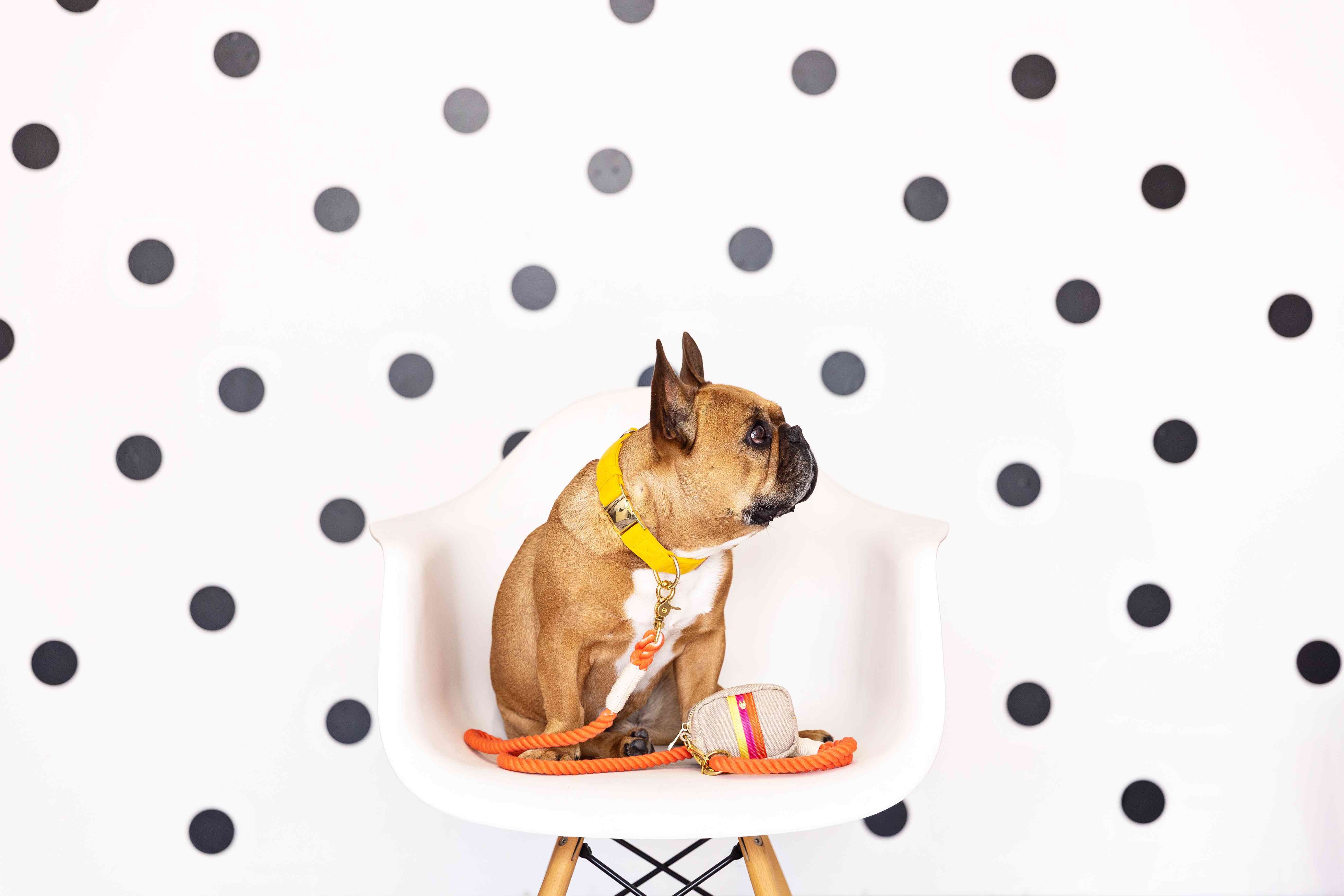 Adele Waste Bag Holder & Treat Pouch