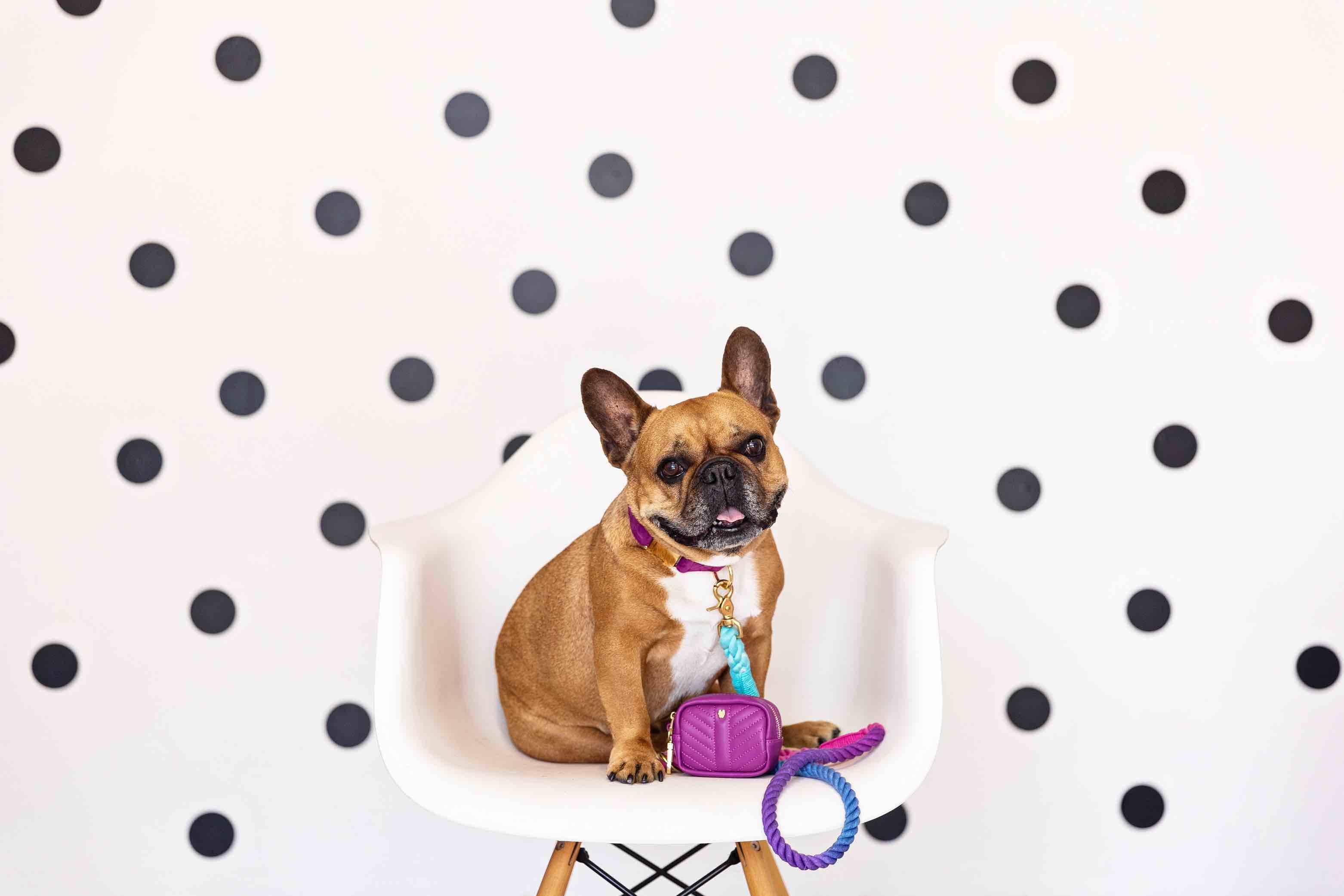 Pixie Rope Dog Leash | Pink Papyrus