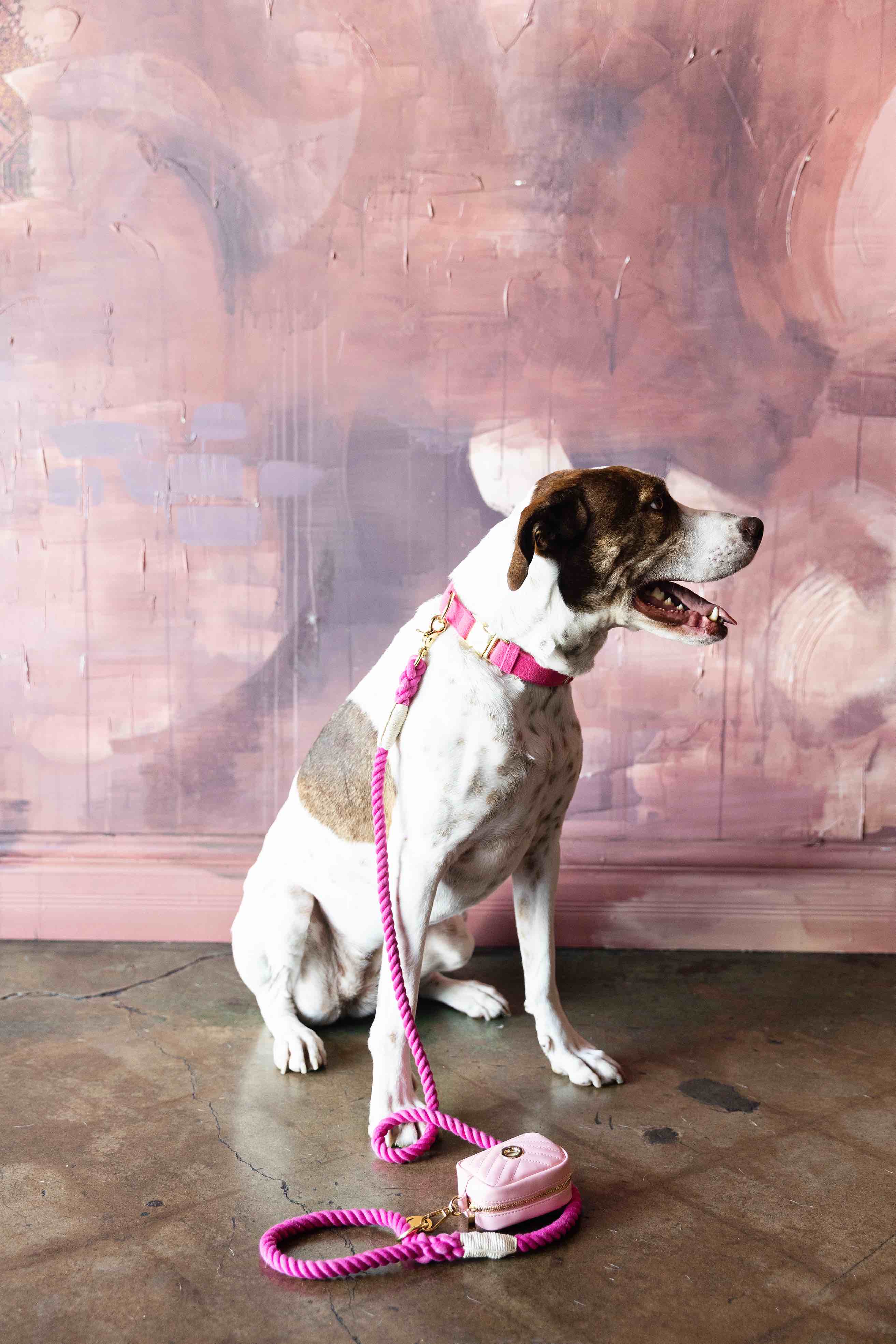 Christine Rope Dog Leash | Pink Papyrus