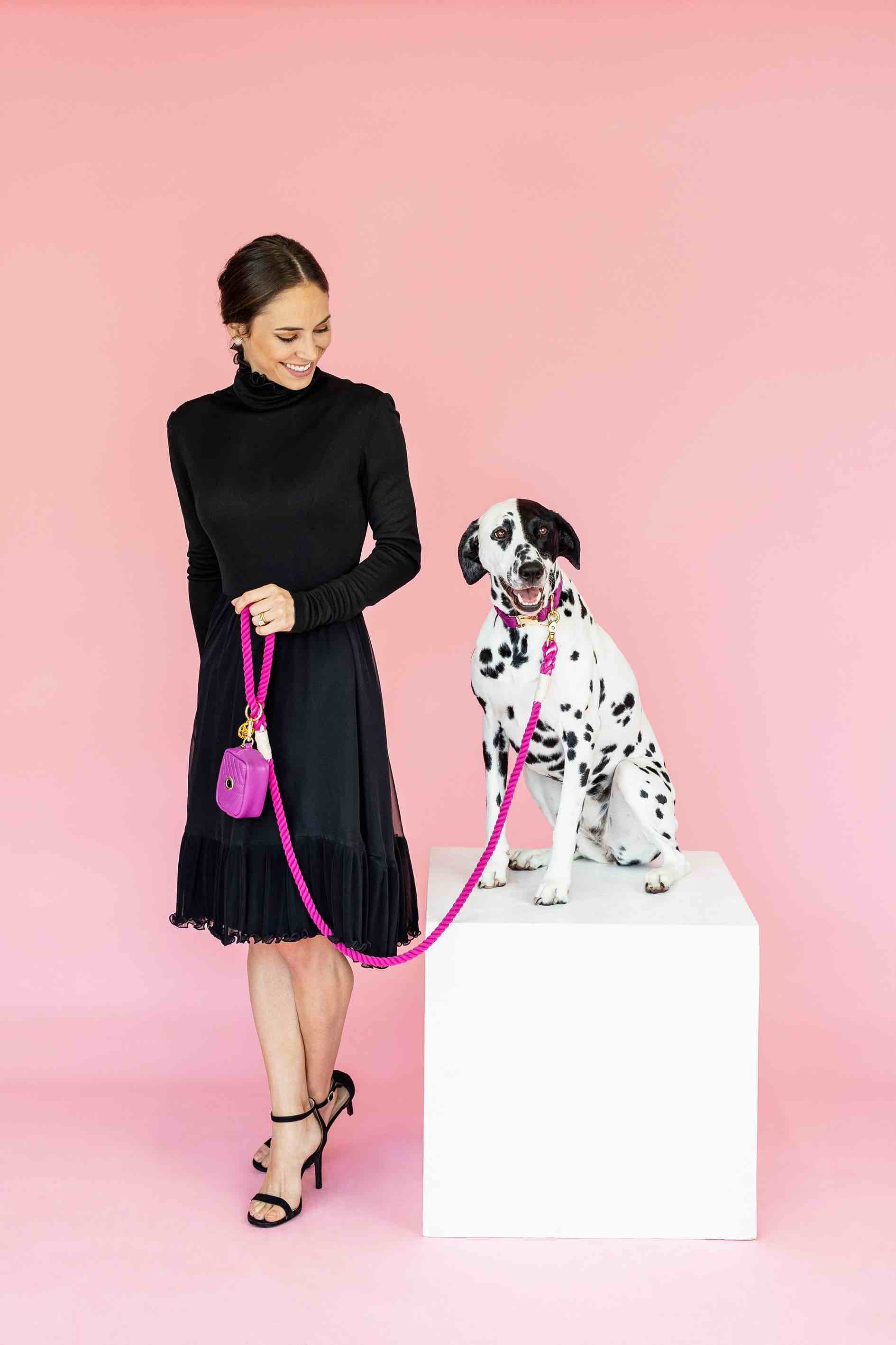 Harper Waste Bag Holder & Treat Pouch