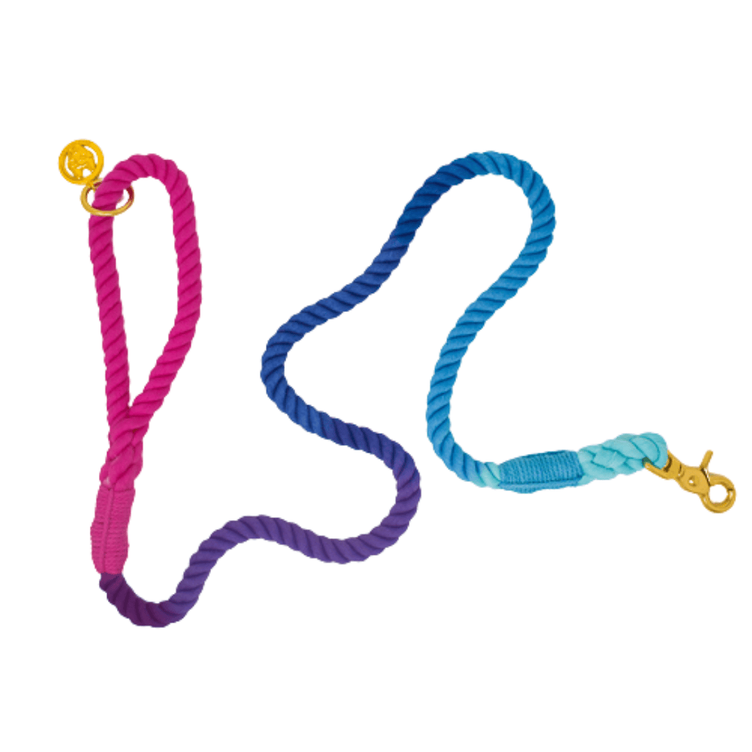 Pixie Rope Dog Leash | Pink Papyrus