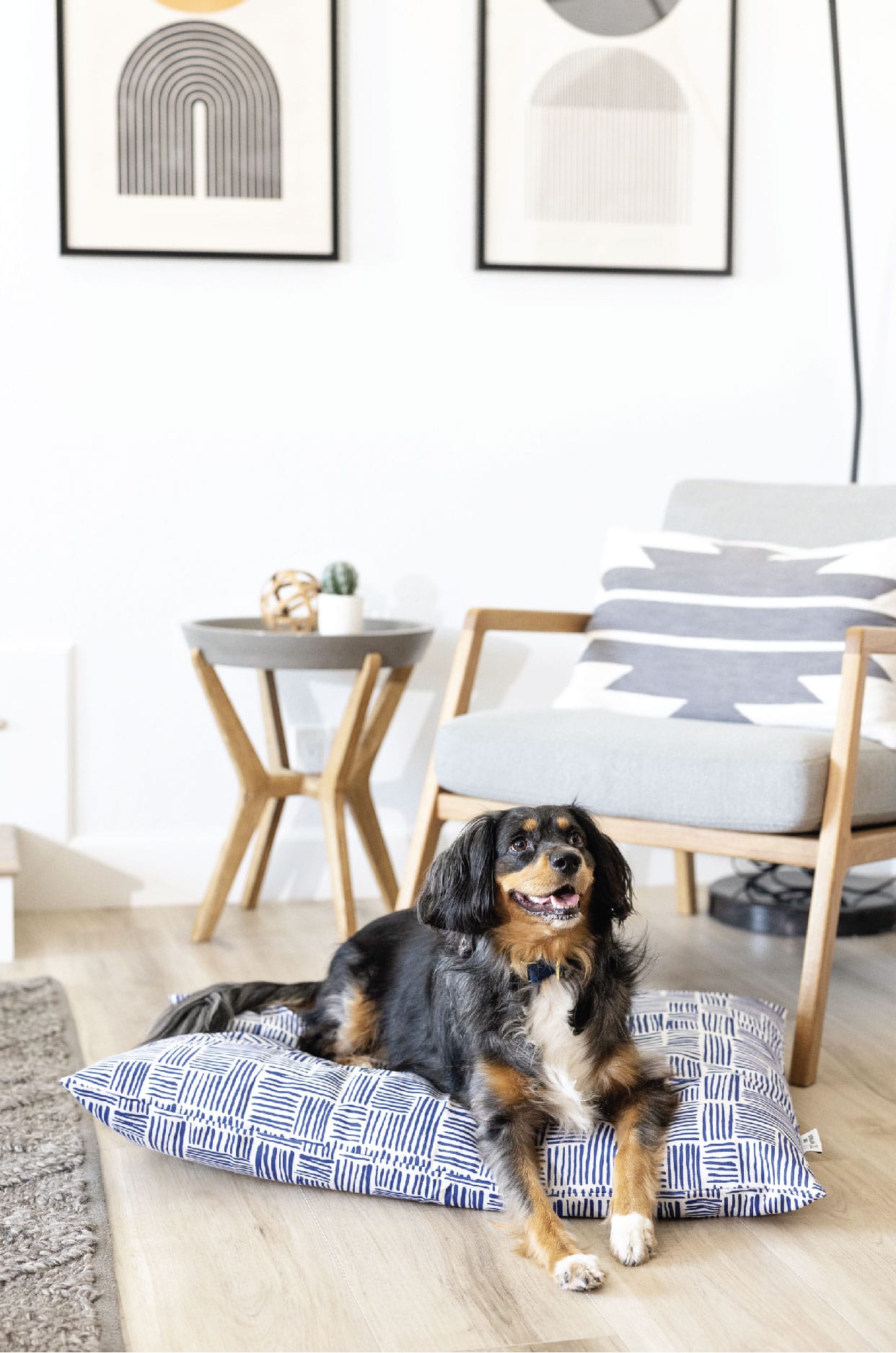 Quinn Dog Bed | Pink Papyrus
