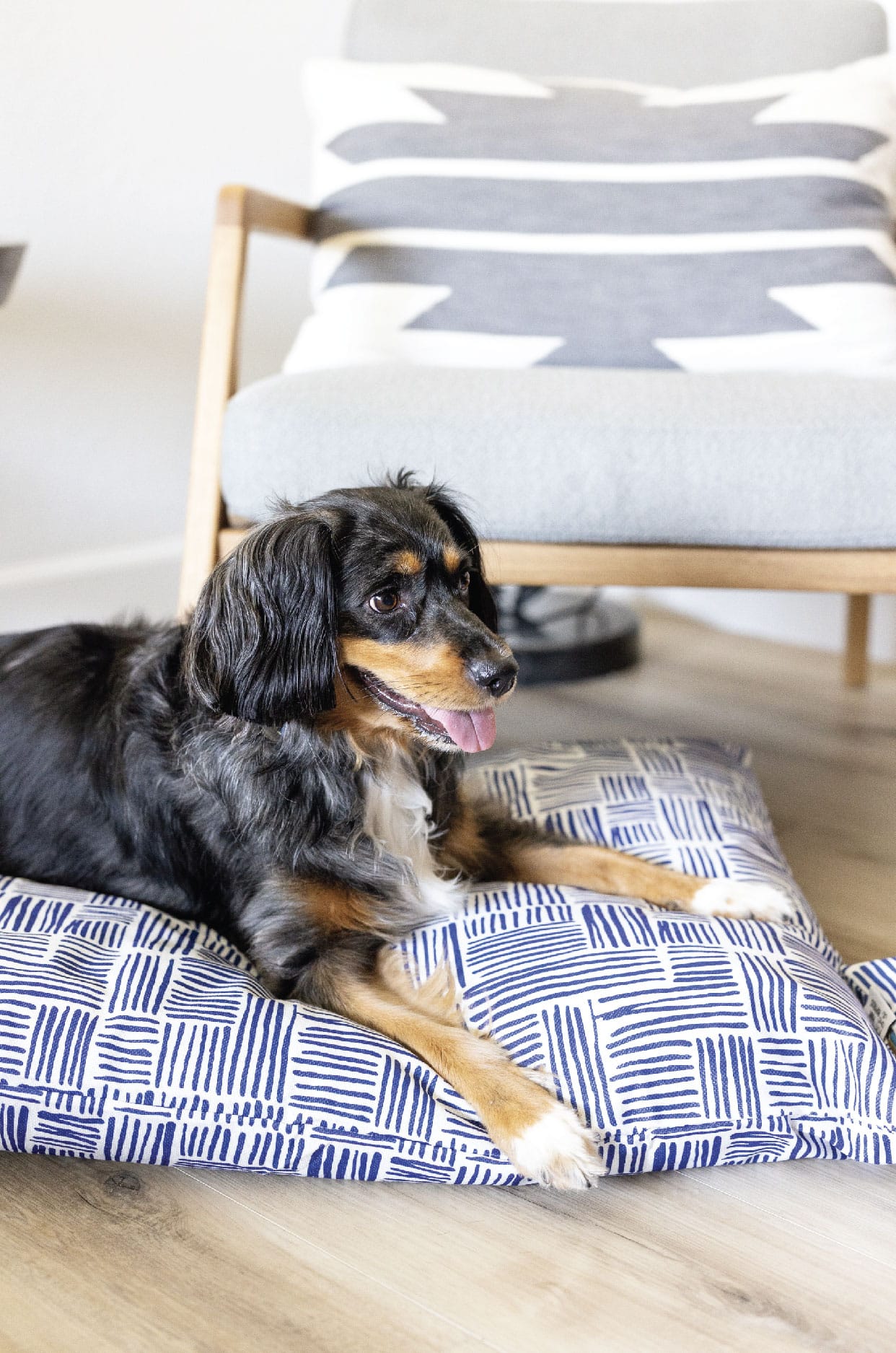 Quinn Dog Bed | Pink Papyrus