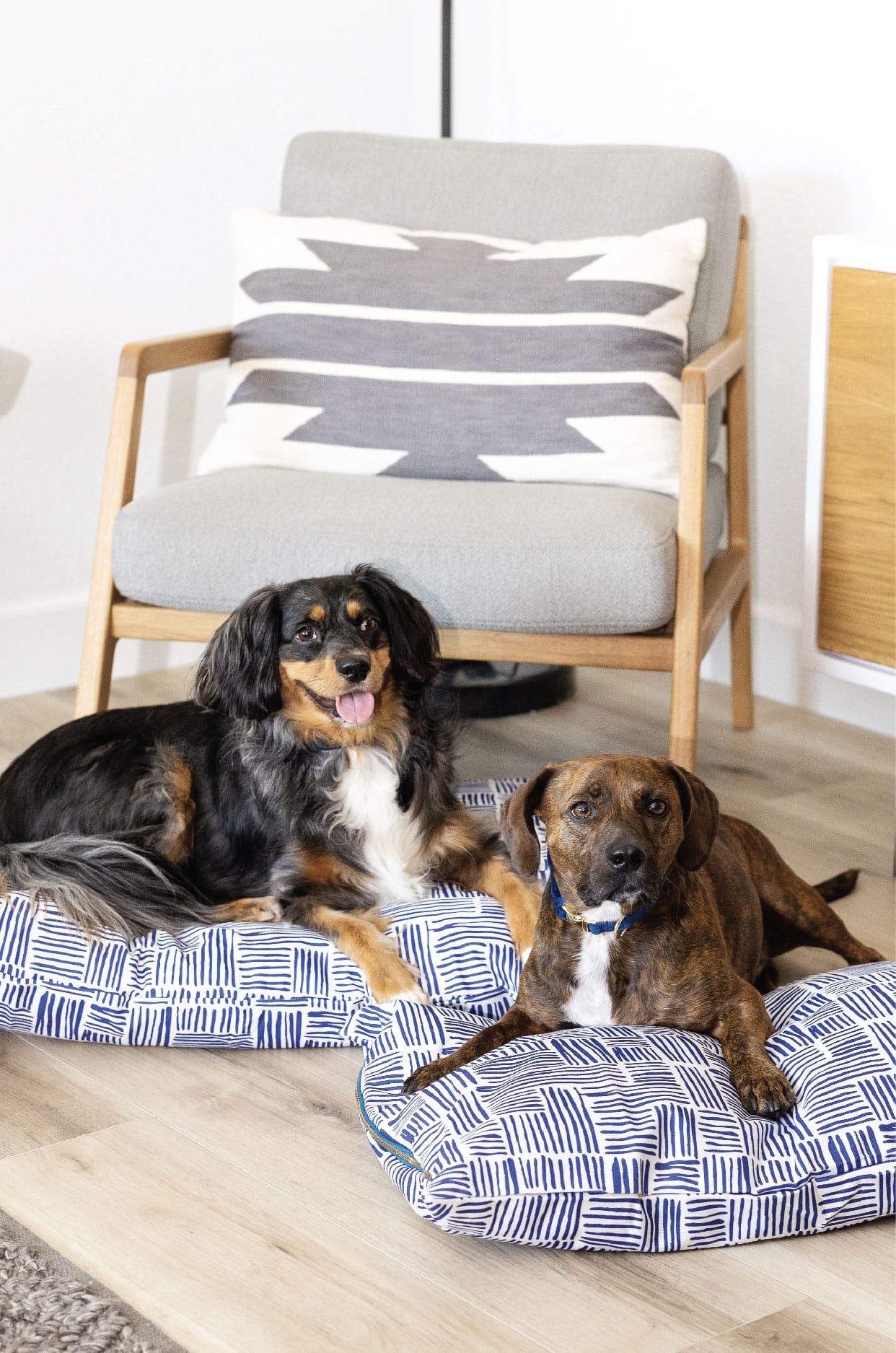 Quinn Dog Bed | Pink Papyrus