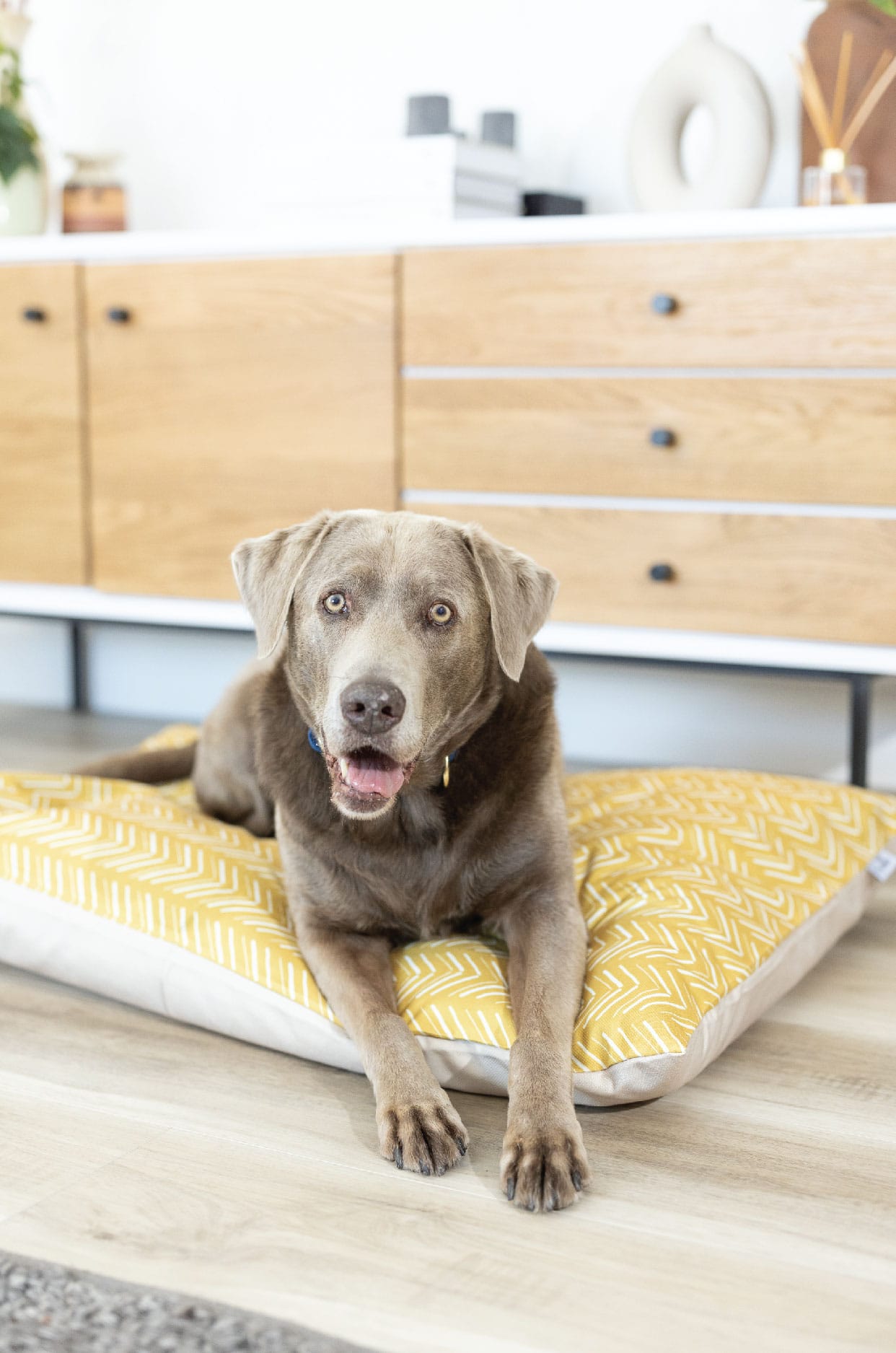 Rafa Dog Bed | Pink Papyrus