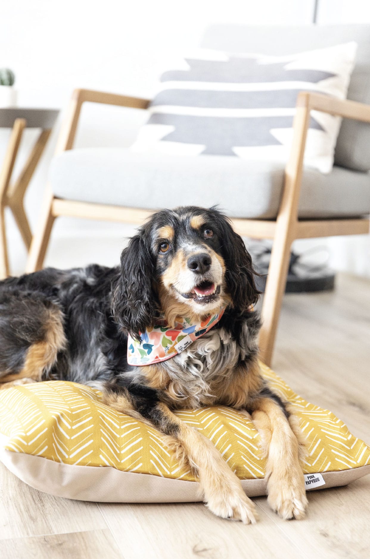 Rafa Dog Bed | Pink Papyrus