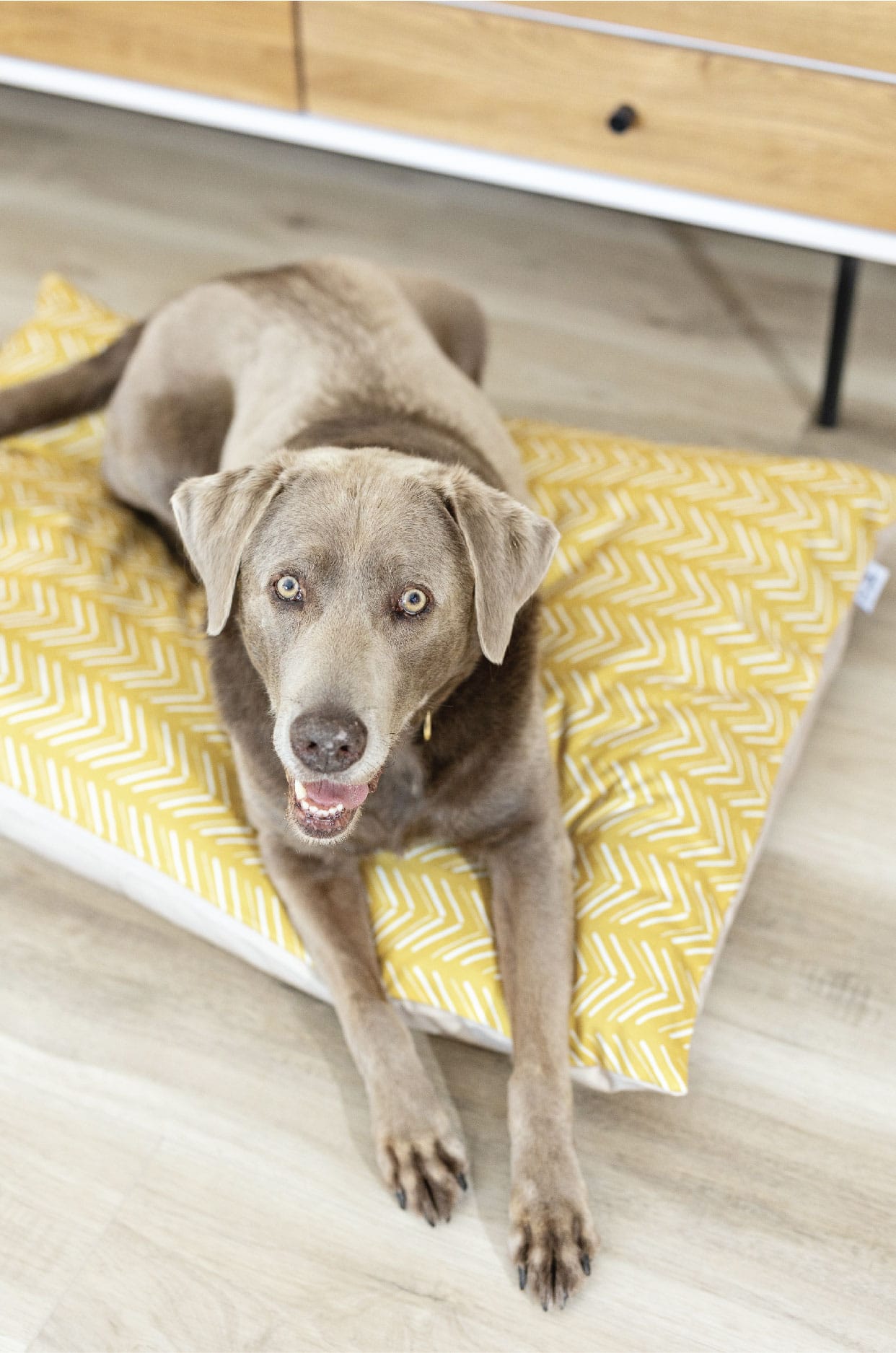 Rafa Dog Bed | Pink Papyrus
