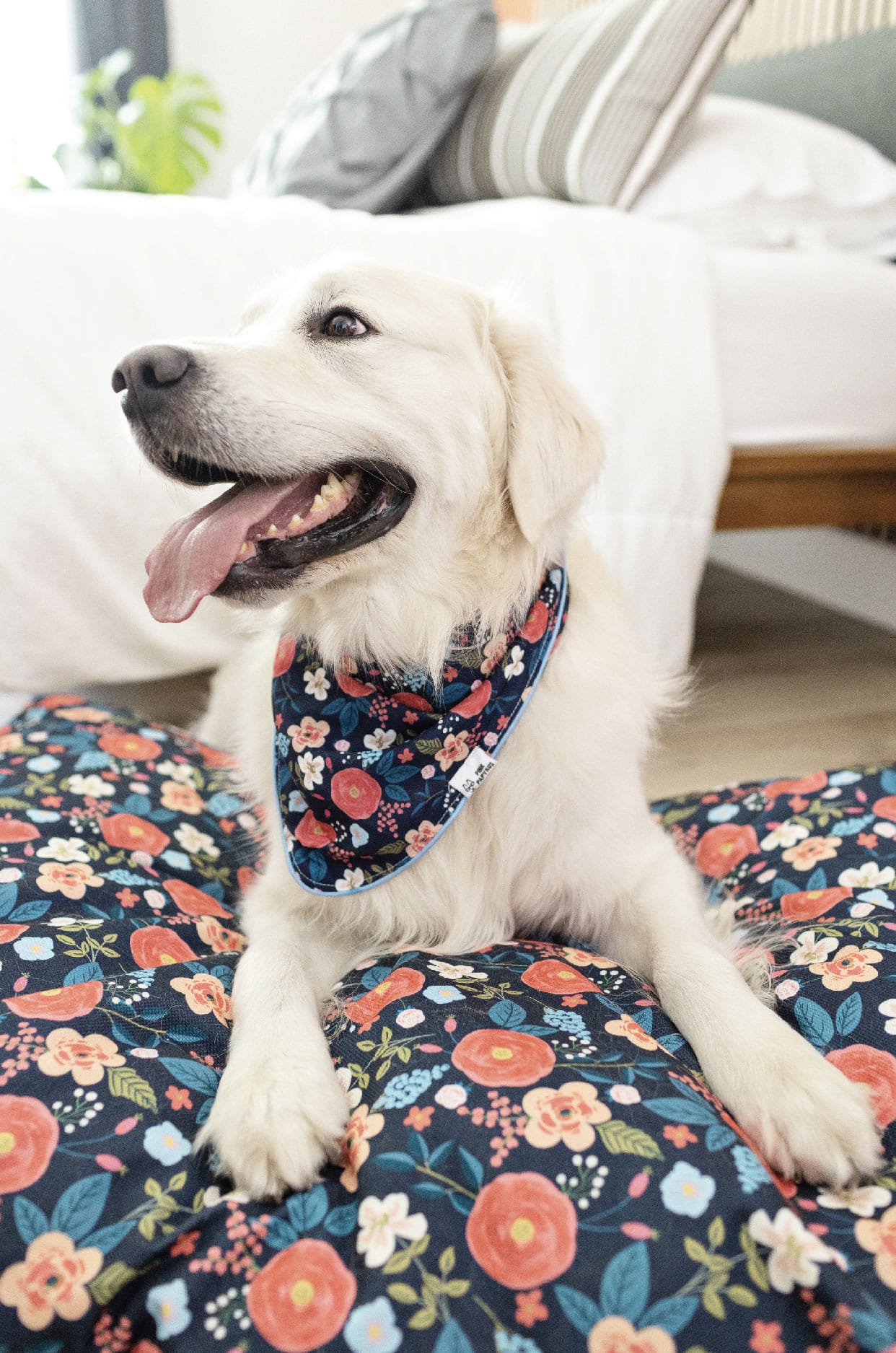 Riley Dog Bed | Pink Papyrus