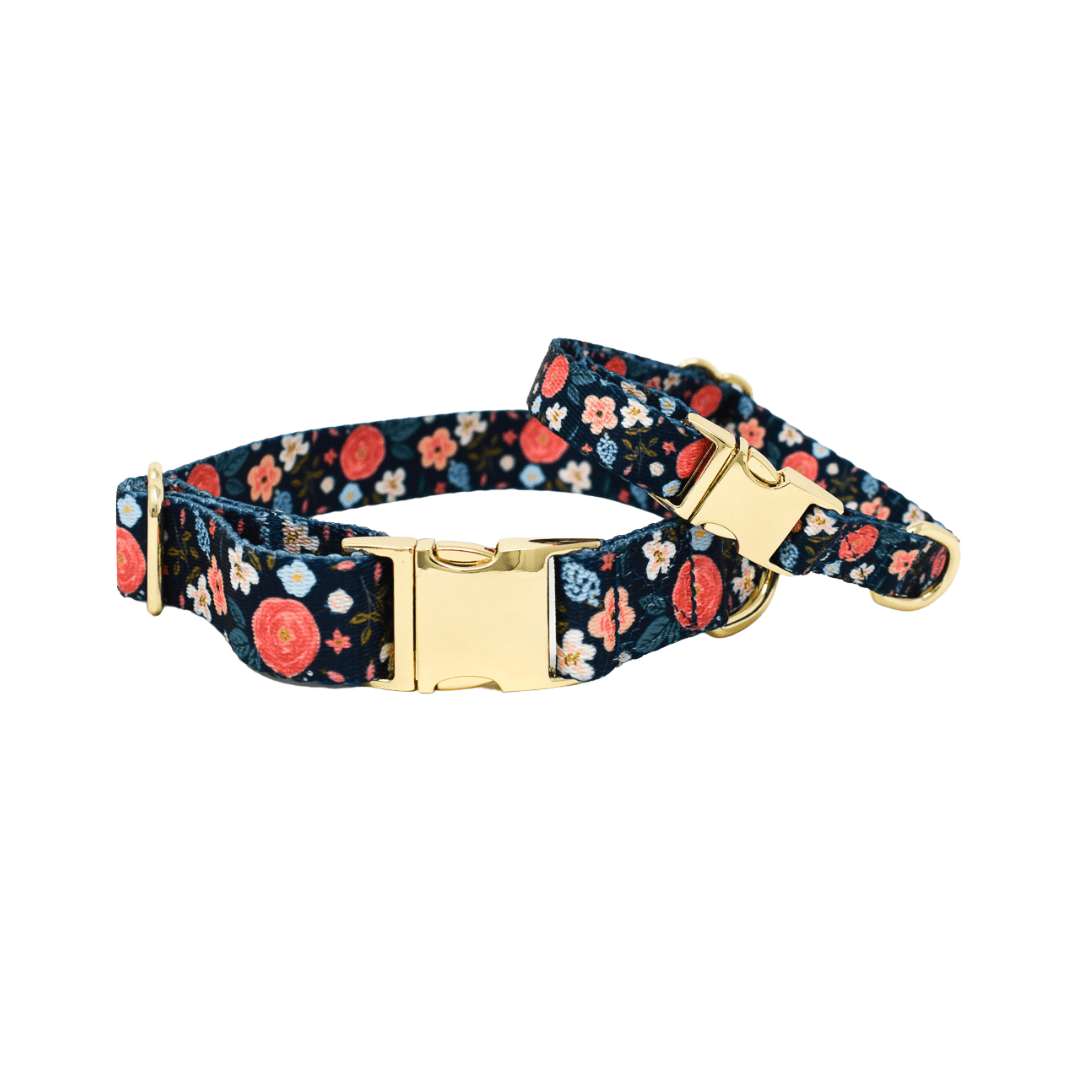 Riley Dog Collar | Pink Papyrus