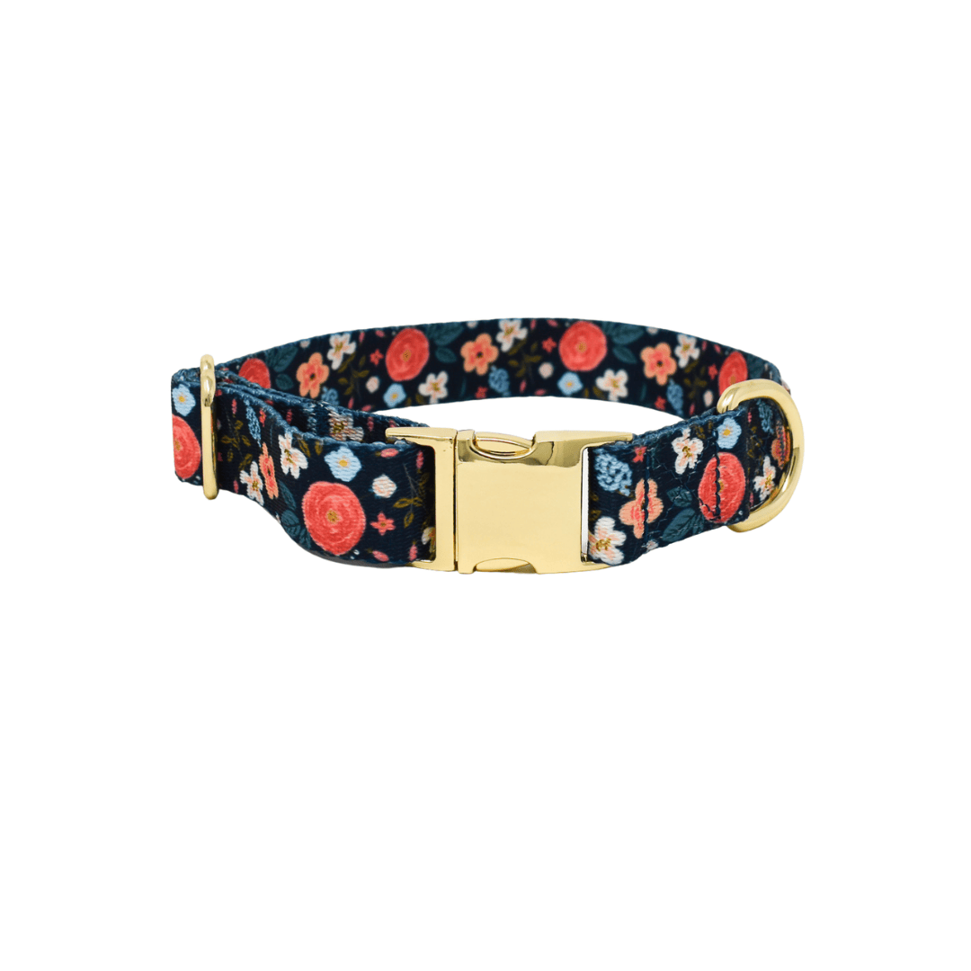 Riley Dog Collar | Pink Papyrus