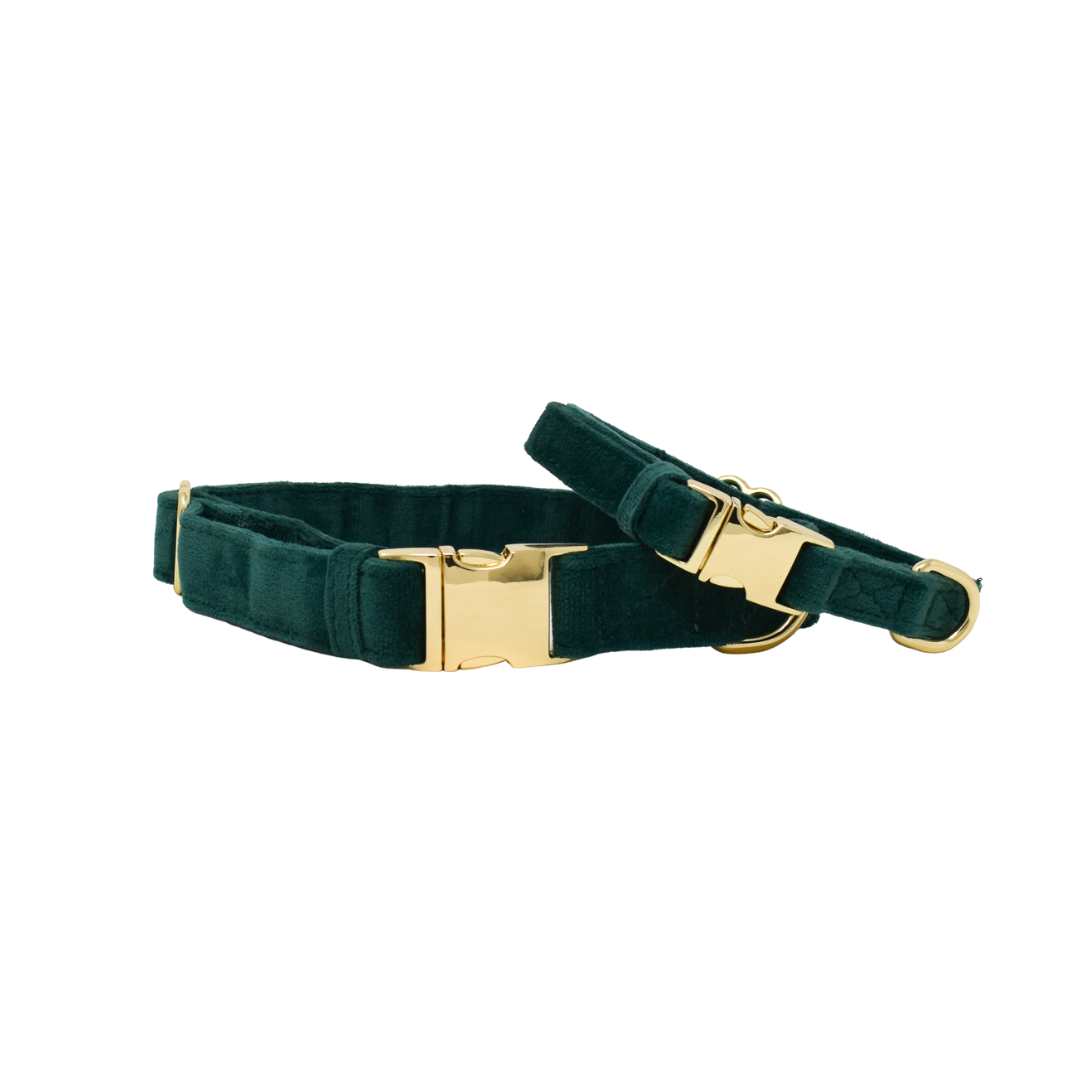 Rue Dog Collar