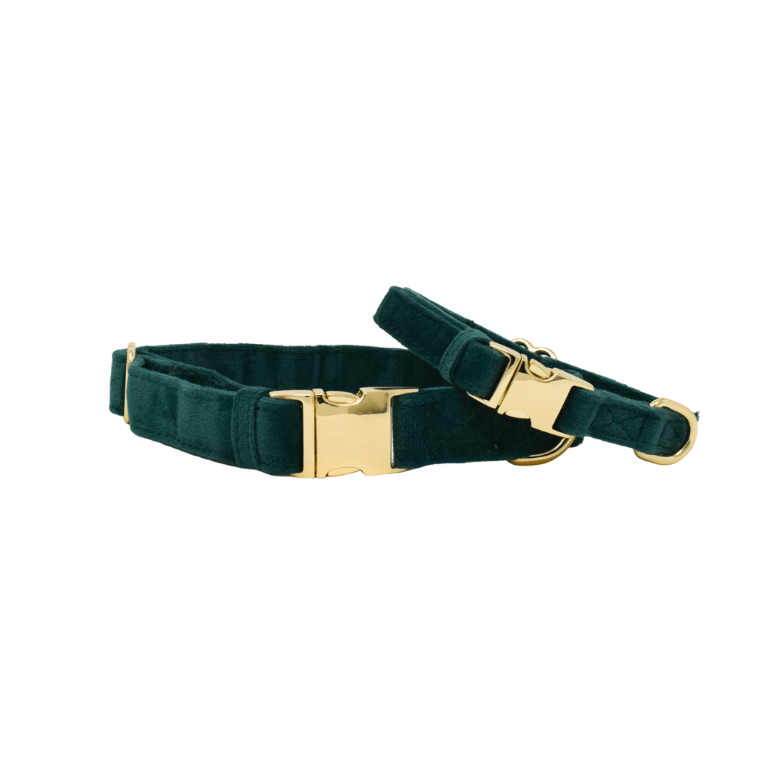 Rue Dog Collar | Pink Papyrus