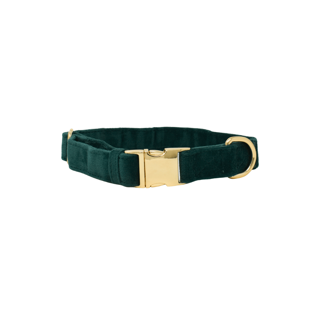 Rue Dog Collar | Pink Papyrus