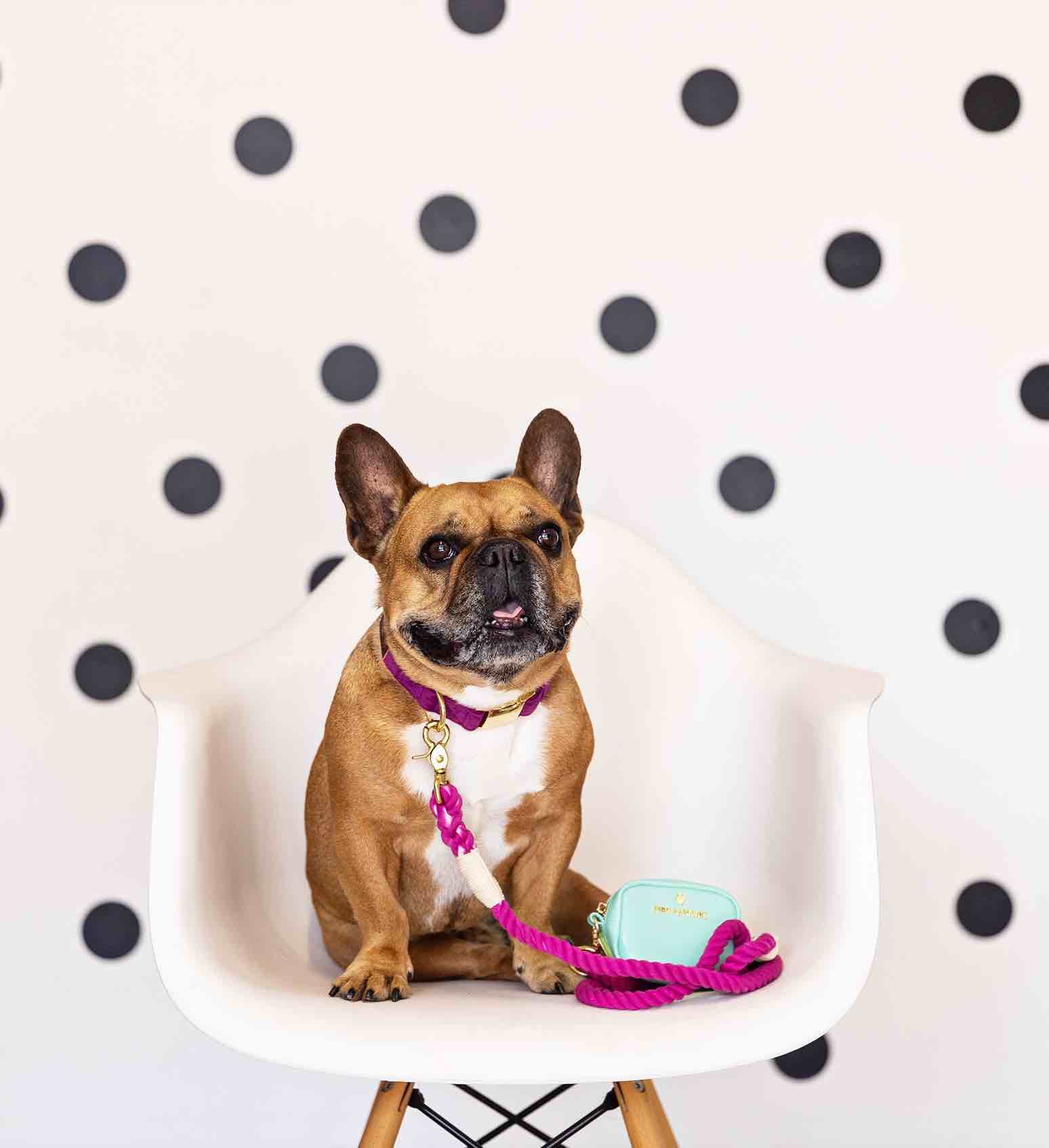 Bree Rope Dog Leash | Pink Papyrus