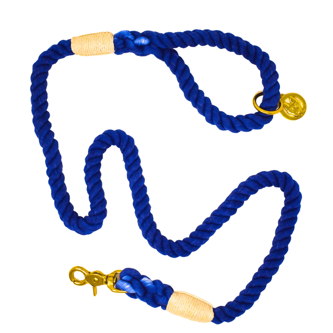 Tatum Rope Dog Leash | Pink Papyrus