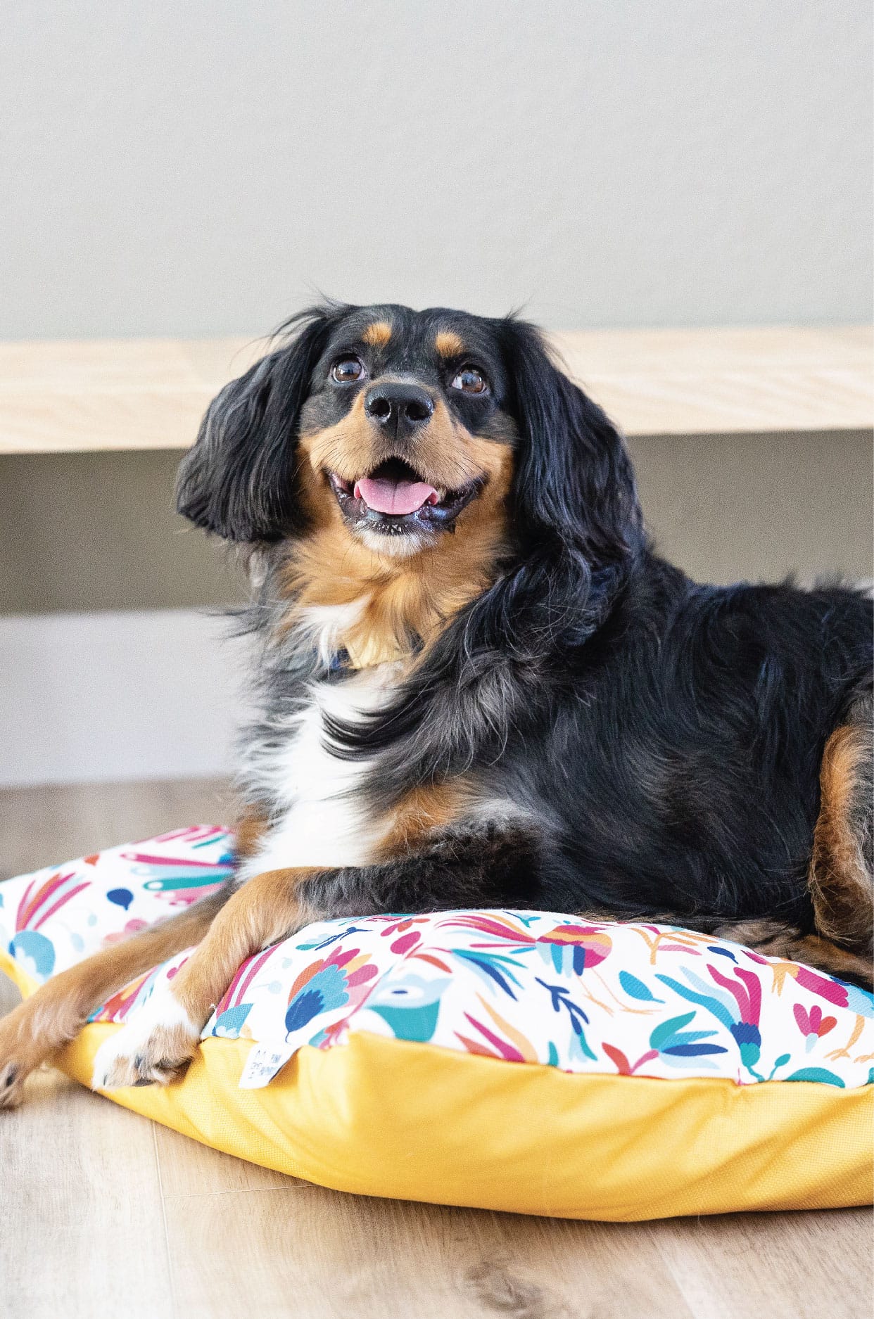 Yesenia Dog Bed | Pink Papyrus
