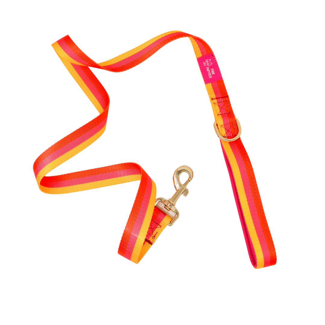 Zara Dog Leash | Pink Papyrus
