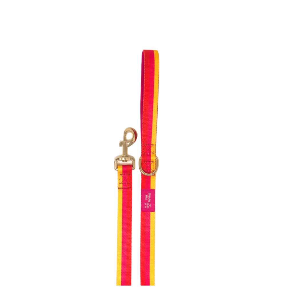 Zara Dog Leash | Pink Papyrus