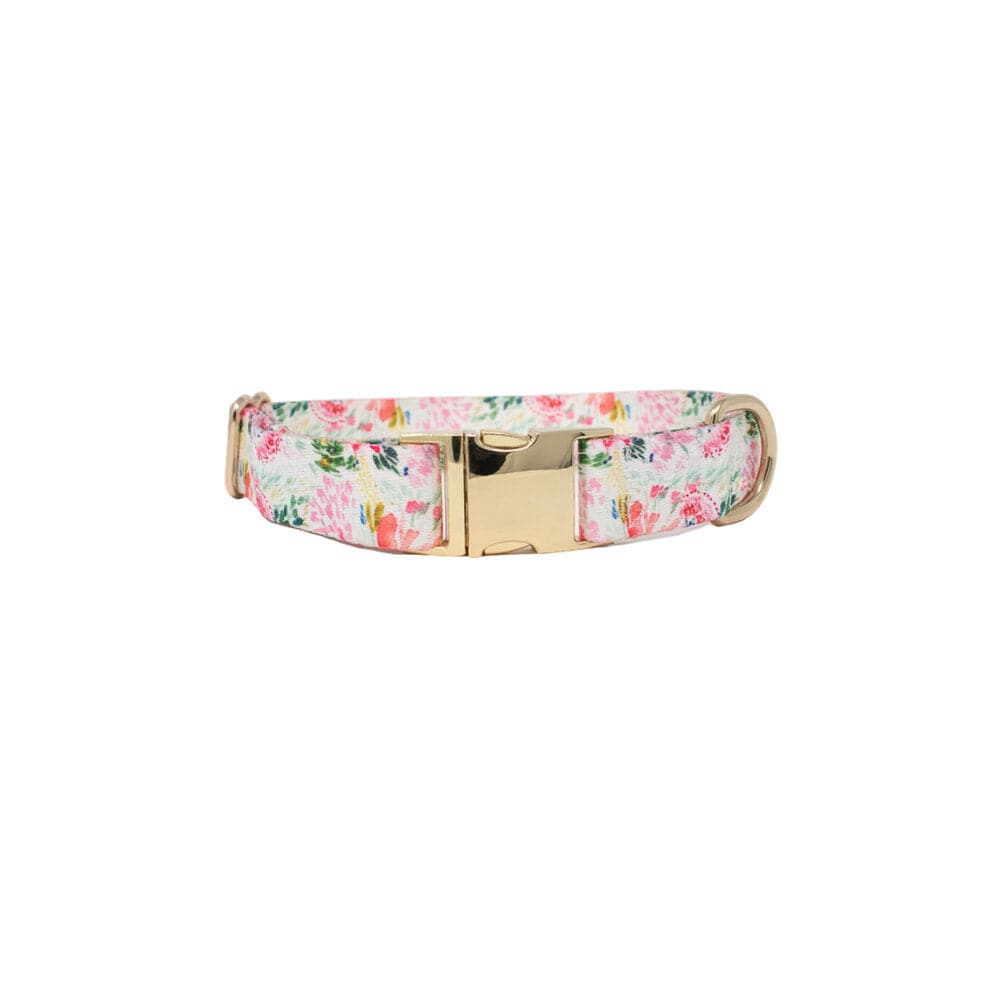 Isabella Dog Collar