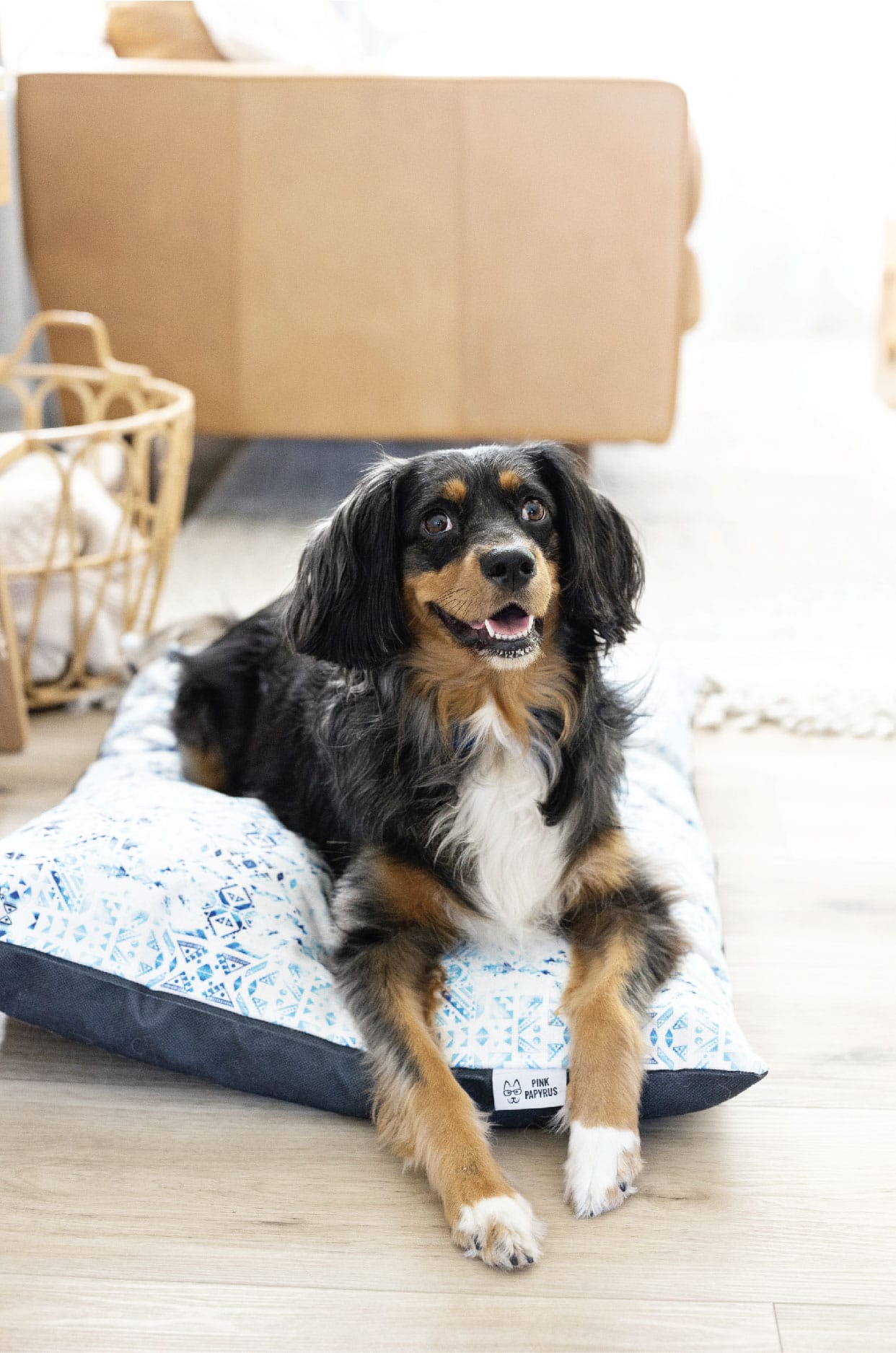 Koa Dog Bed | Pink Papyrus