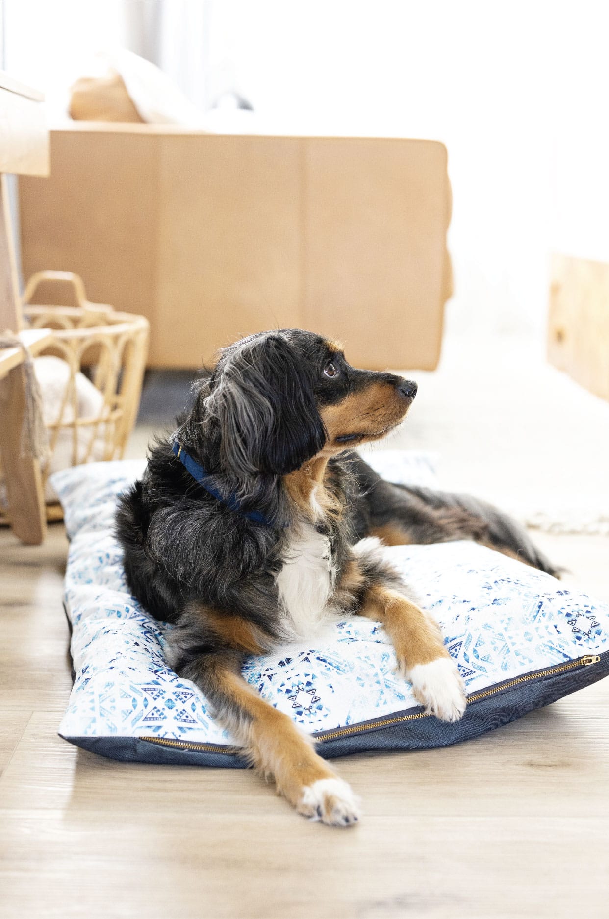 Koa Dog Bed | Pink Papyrus