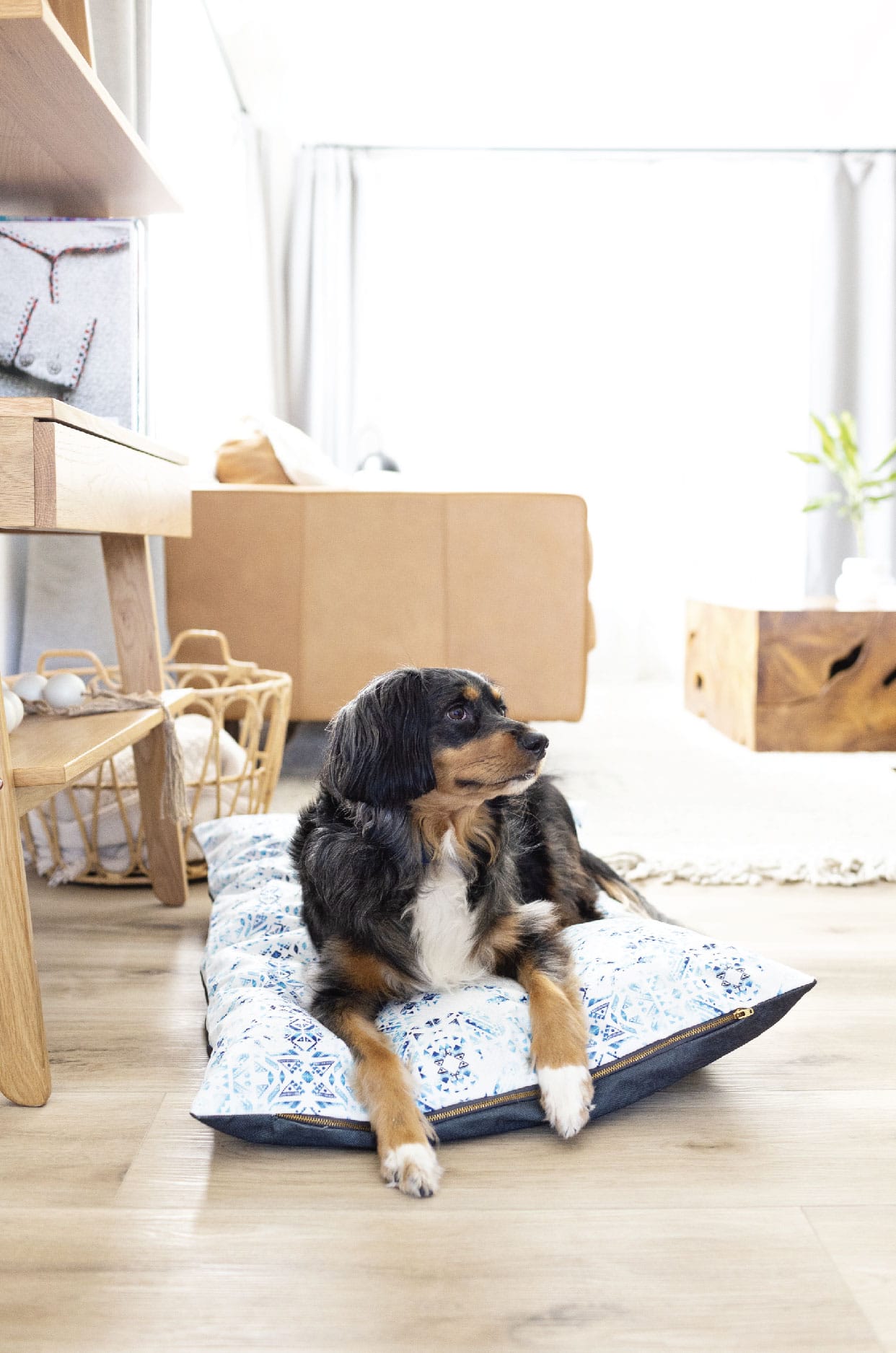 Koa Dog Bed | Pink Papyrus