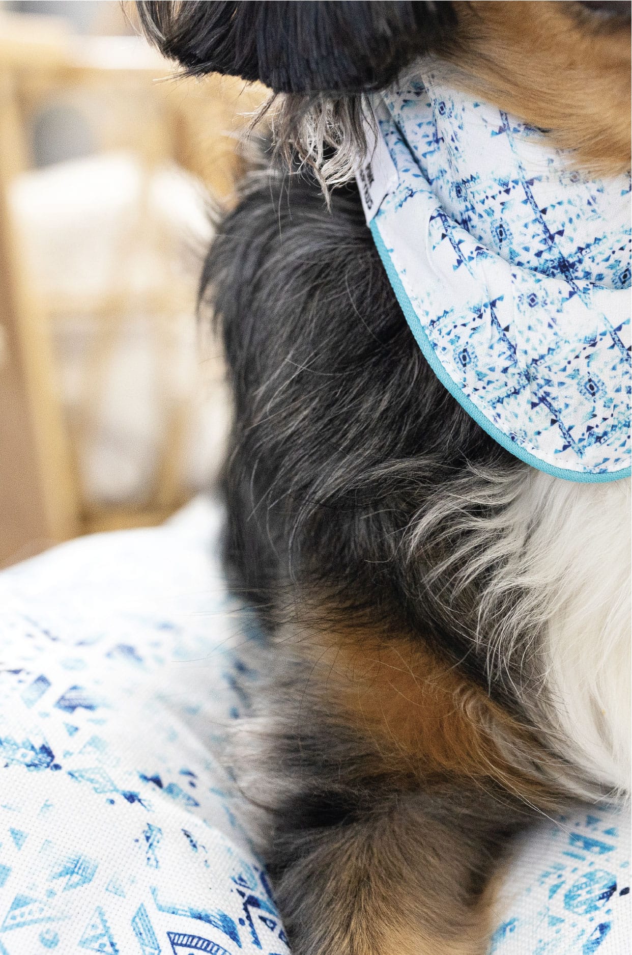 Koa Dog Bed | Pink Papyrus