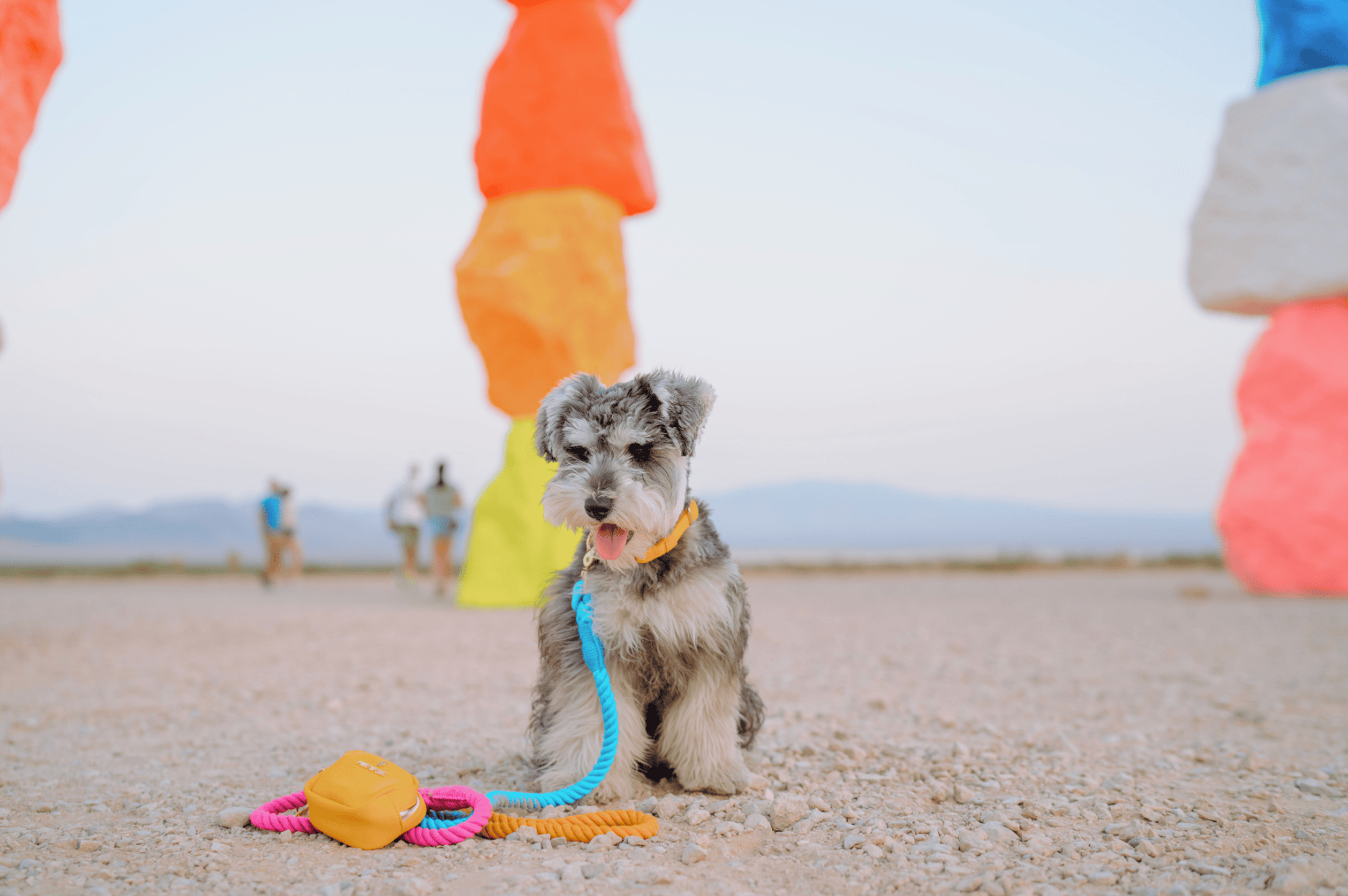 Marley Rope Dog Leash | Pink Papyrus