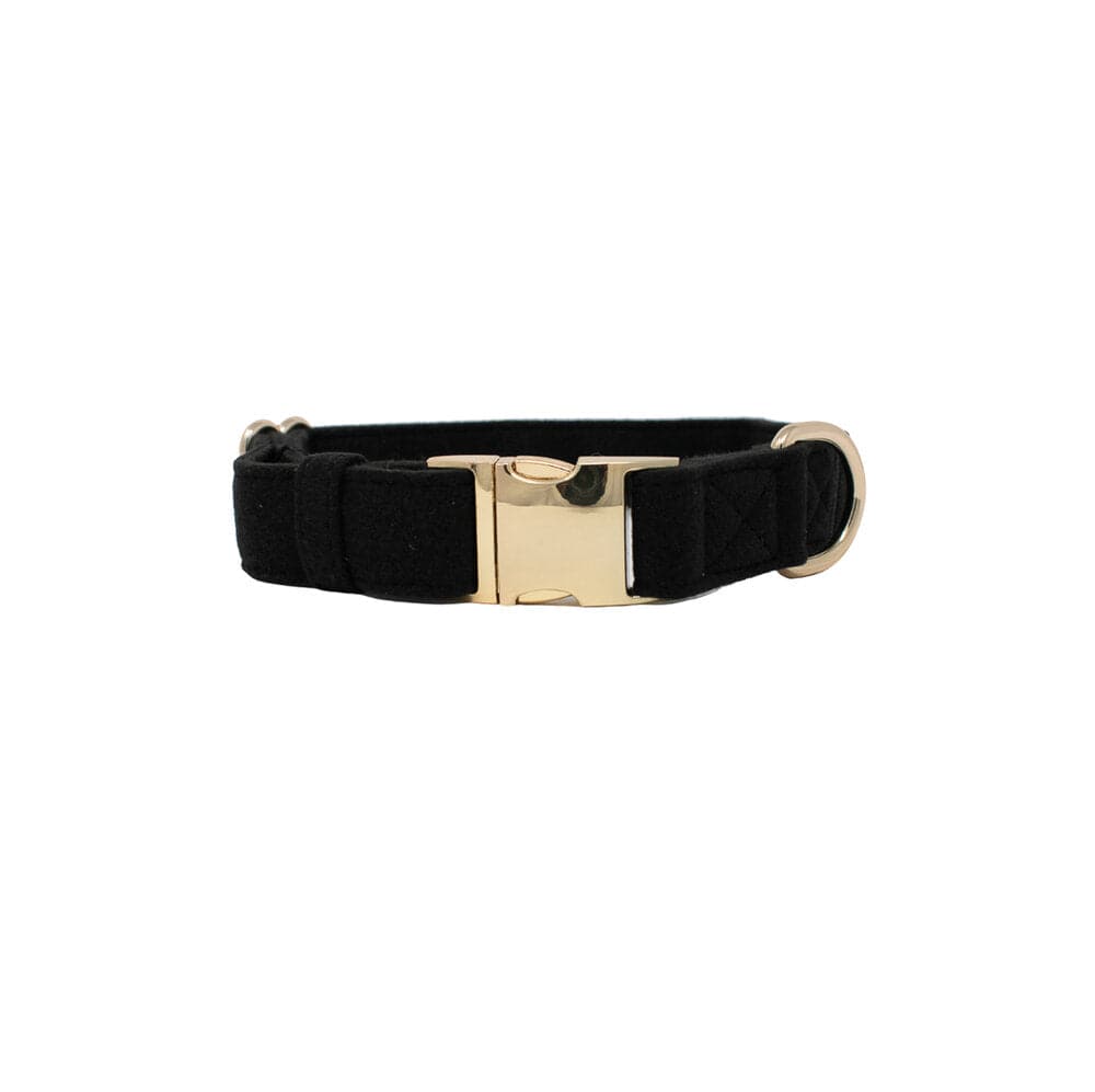 Ryan Dog Collar