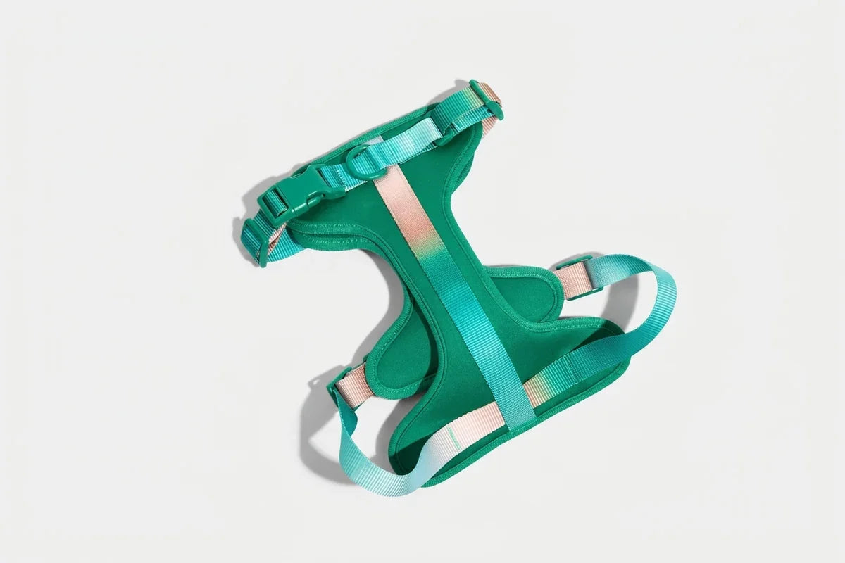 A green and turquoise adjustable pet harness with pink accents and buckles is displayed on a white background.