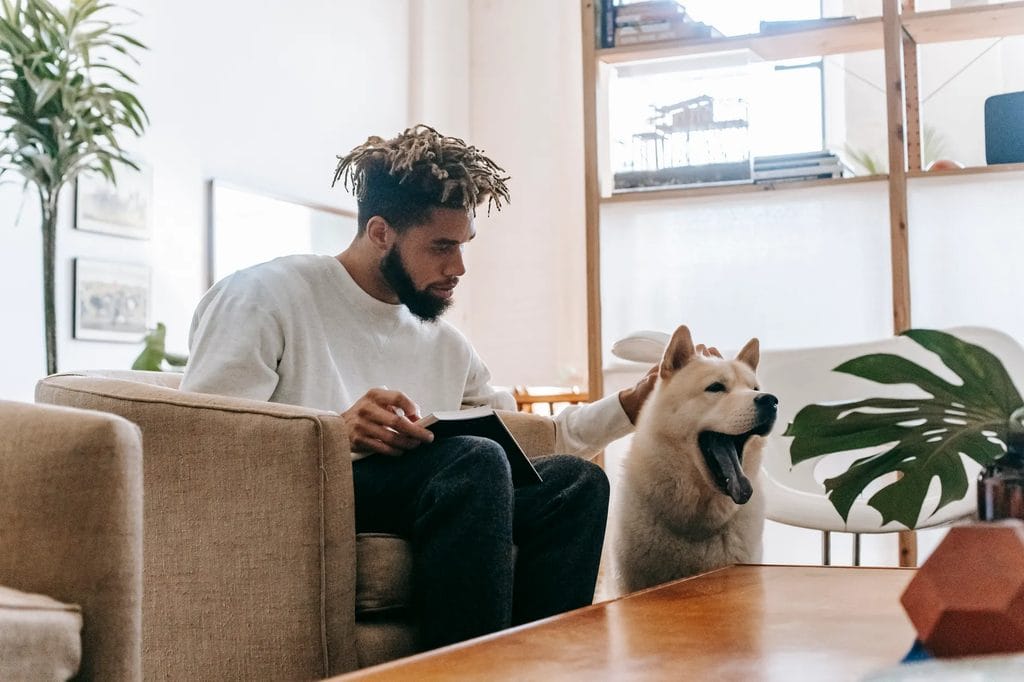 Owner pets a dog beside an armchair in a bright living room