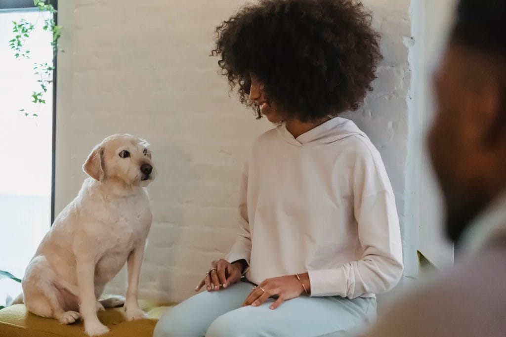 Person sits beside a white dog at home in a relaxed indoor companionship scene