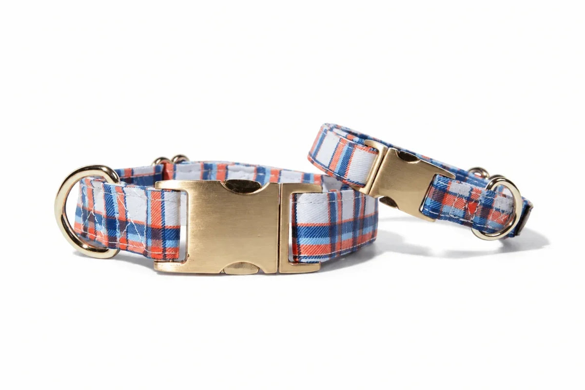 Blue, orange, and white plaid dog collar with gold-tone hardware