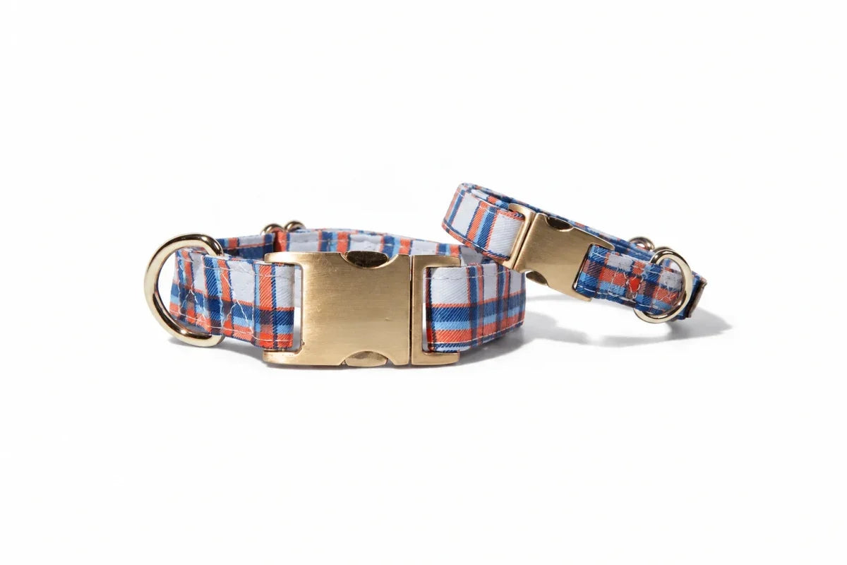 Blue, orange, and white plaid dog collar with brass-tone hardware