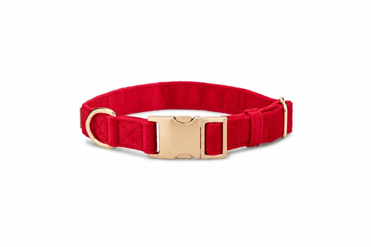 Red fabric dog collar with gold-tone hardware