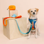 Sapphire Coast Dog Harness Bundle | Pink Papyrus