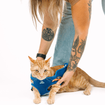 Atlas Cat Harness & Leash Set | Pink Papyrus
