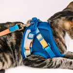 Atlas Cat Harness & Leash Set | Pink Papyrus