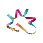Pippa All Weather Dog Leash | Pink Papyrus