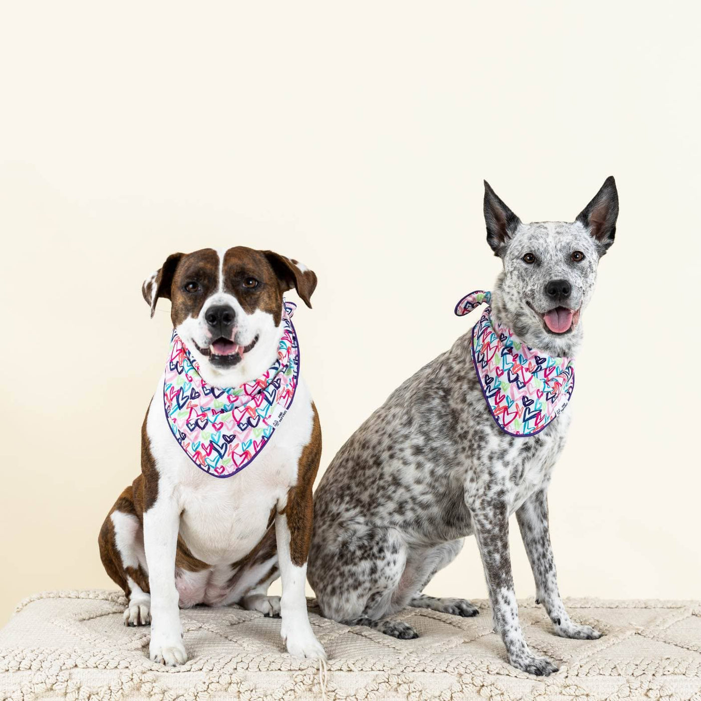 Dog Bandanas
