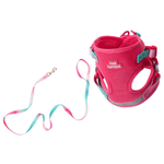 Stasia Cat Harness & Leash Set | Pink Papyrus