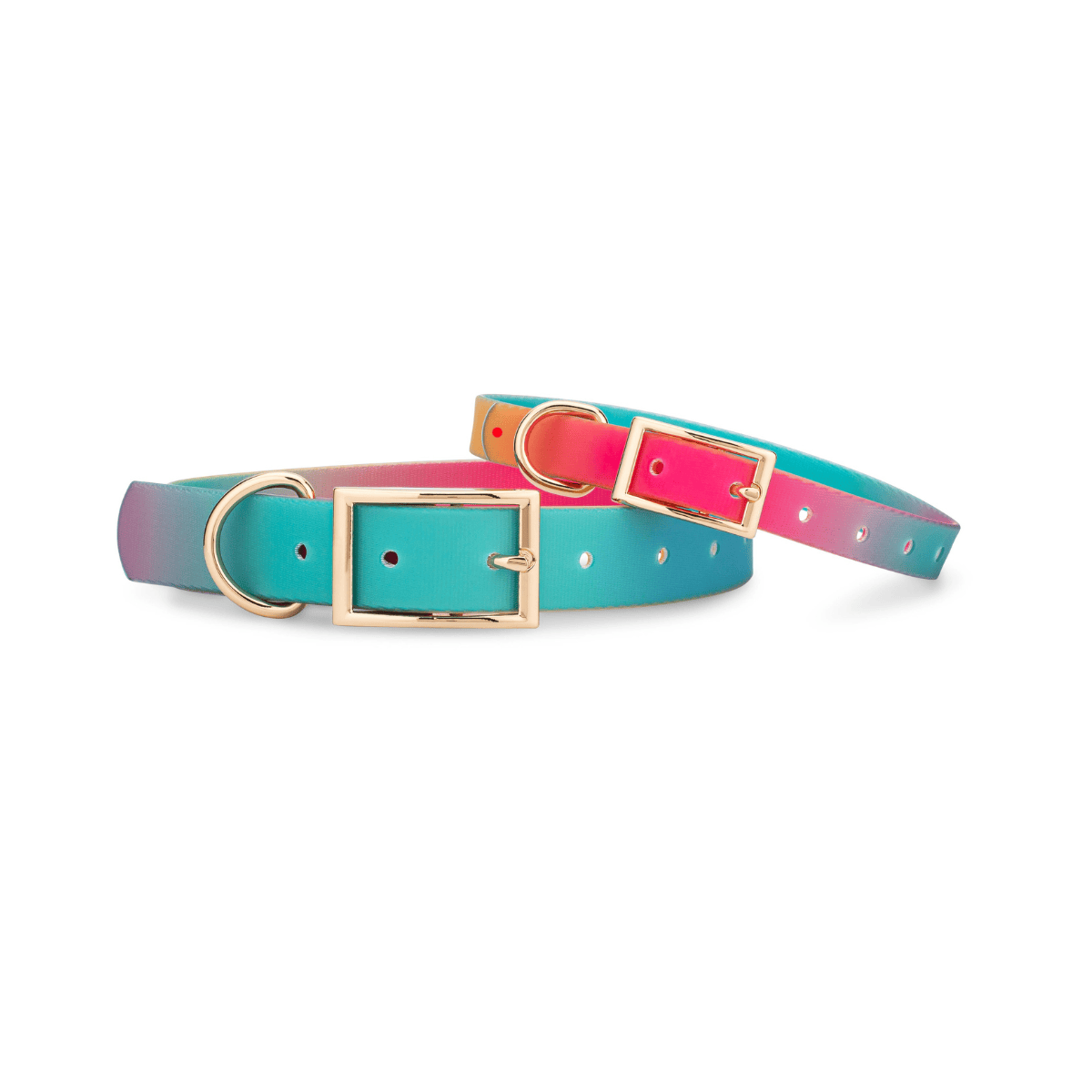 All Weather Leashes & Collars