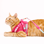Stasia Cat Harness & Leash Set | Pink Papyrus