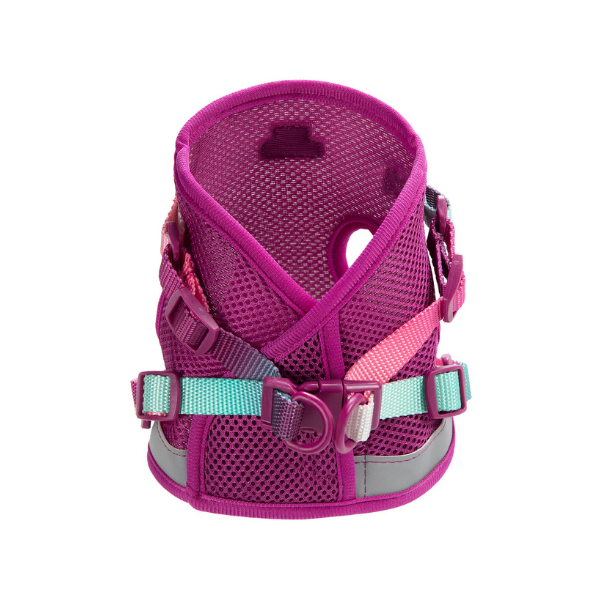Joana Cat Harness & Leash Set