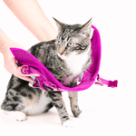 Joana Cat Harness & Leash Set | Pink Papyrus