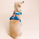 Atlas Dog Harness | Pink Papyrus