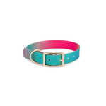 Pippa Dog Collar | Pink Papyrus