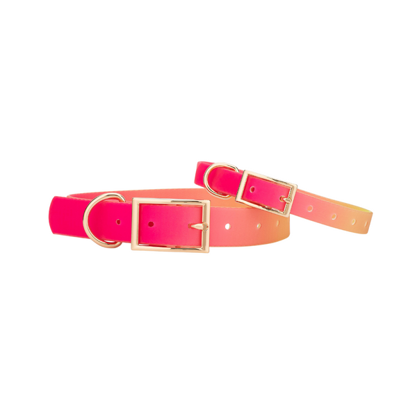 Pink Papyrus LoLa Pink Vegan Leather Dog Collar 100% Organic Adjustable  Size Sm