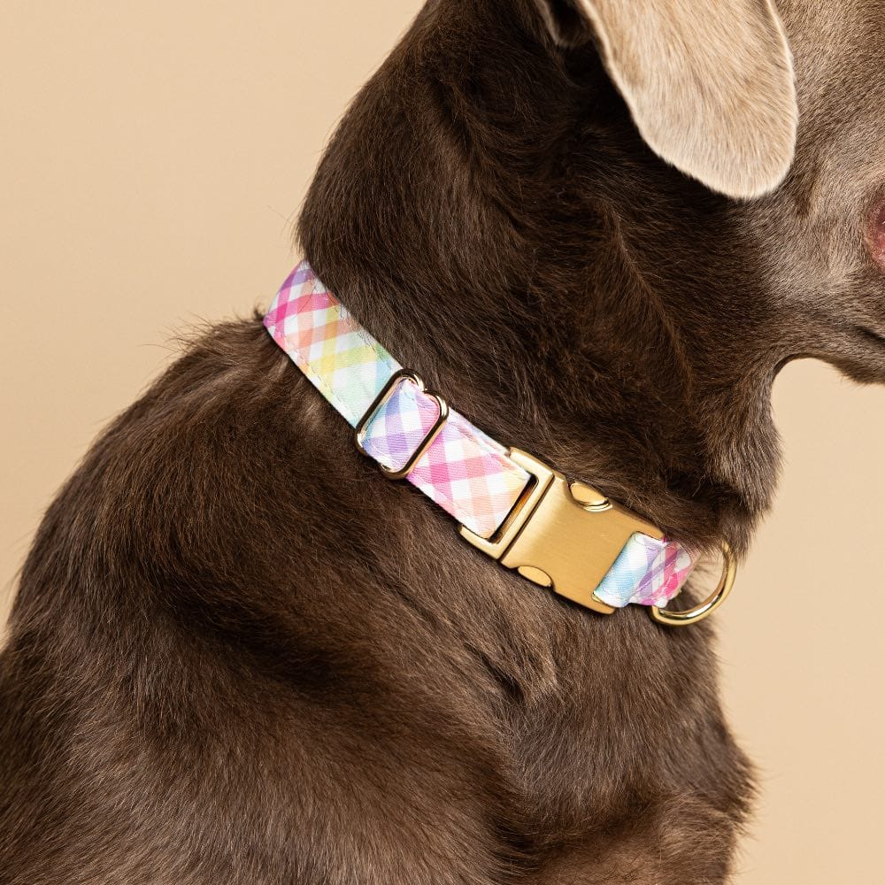 Minka Dog Collar | Pink Papyrus